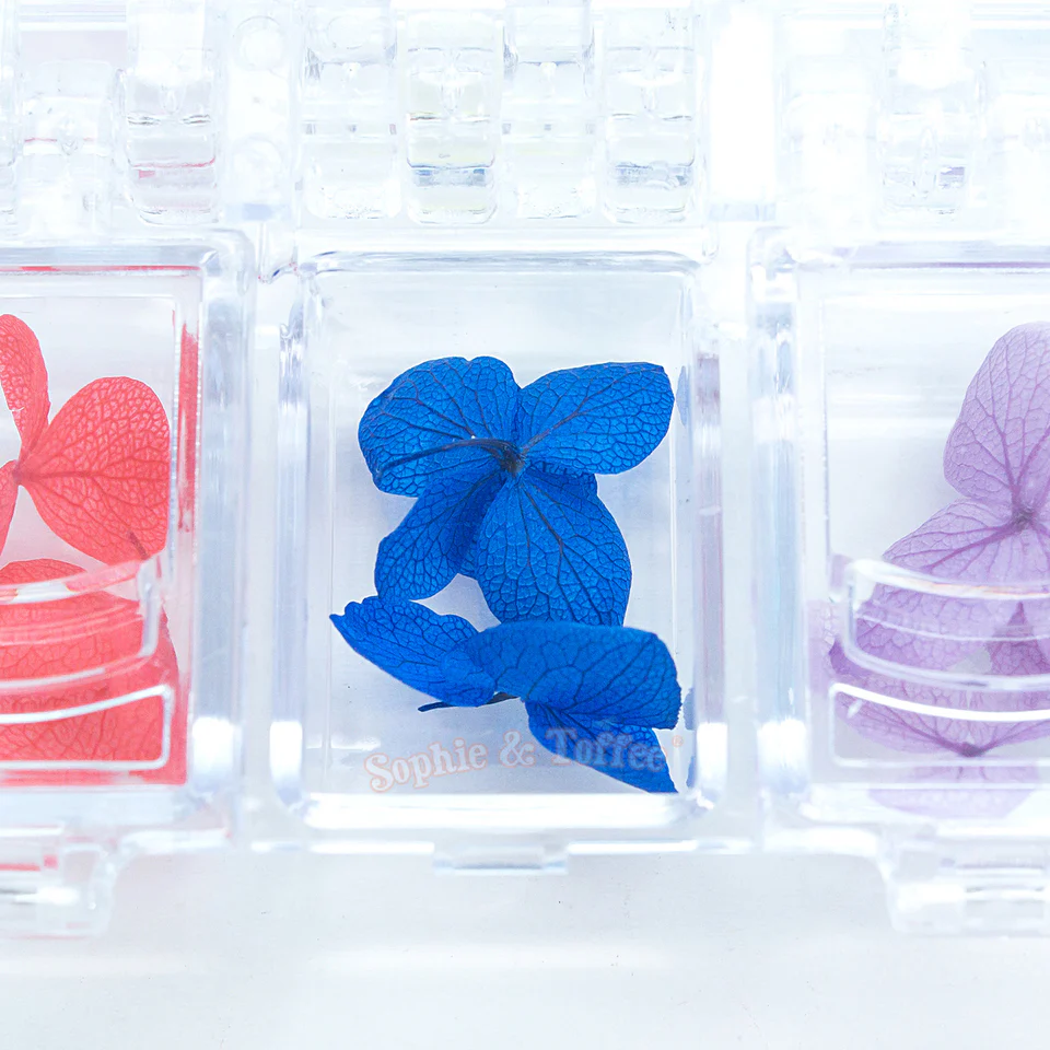 Assorted Dried Hydrangea Flowers with Container - Image 3