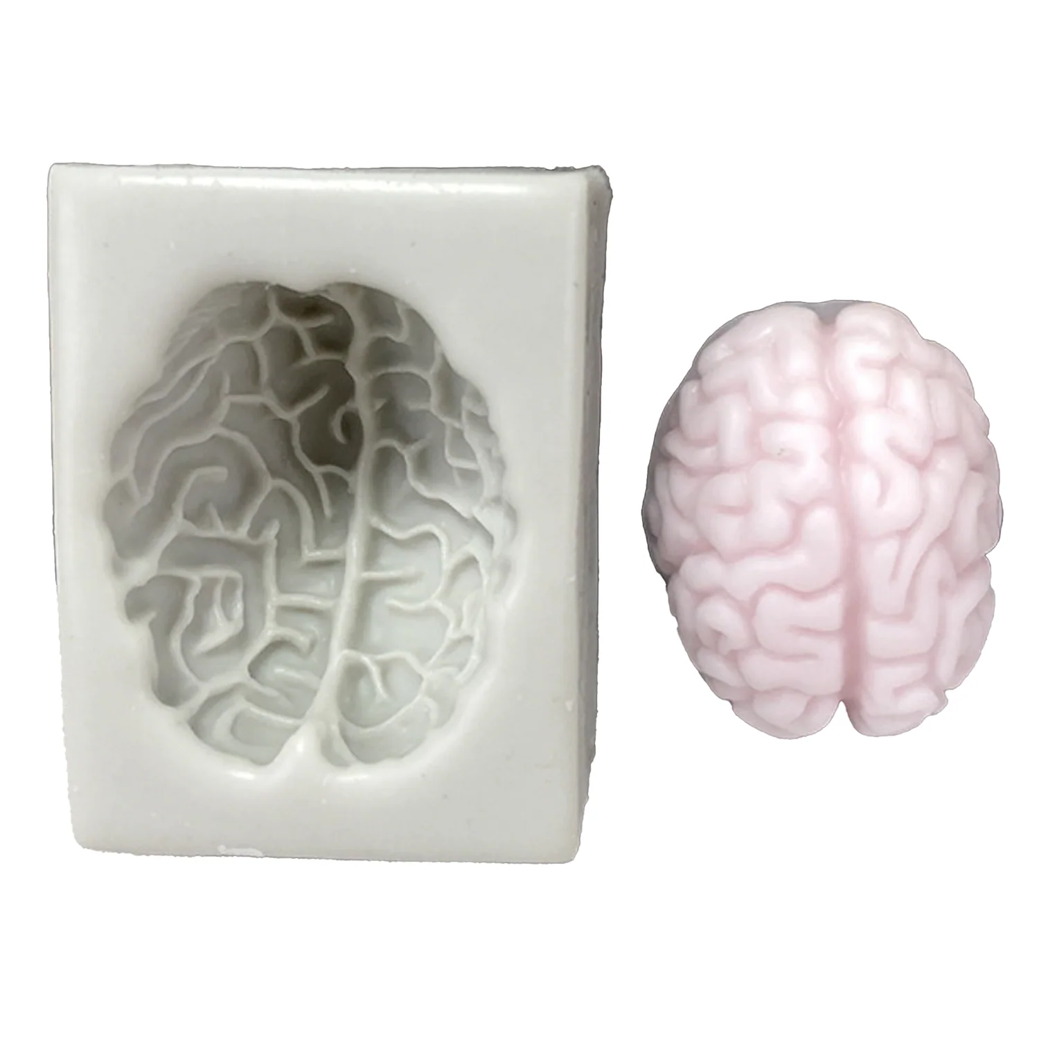Brain Anatomy Realistic Silicone Mold - Image 3