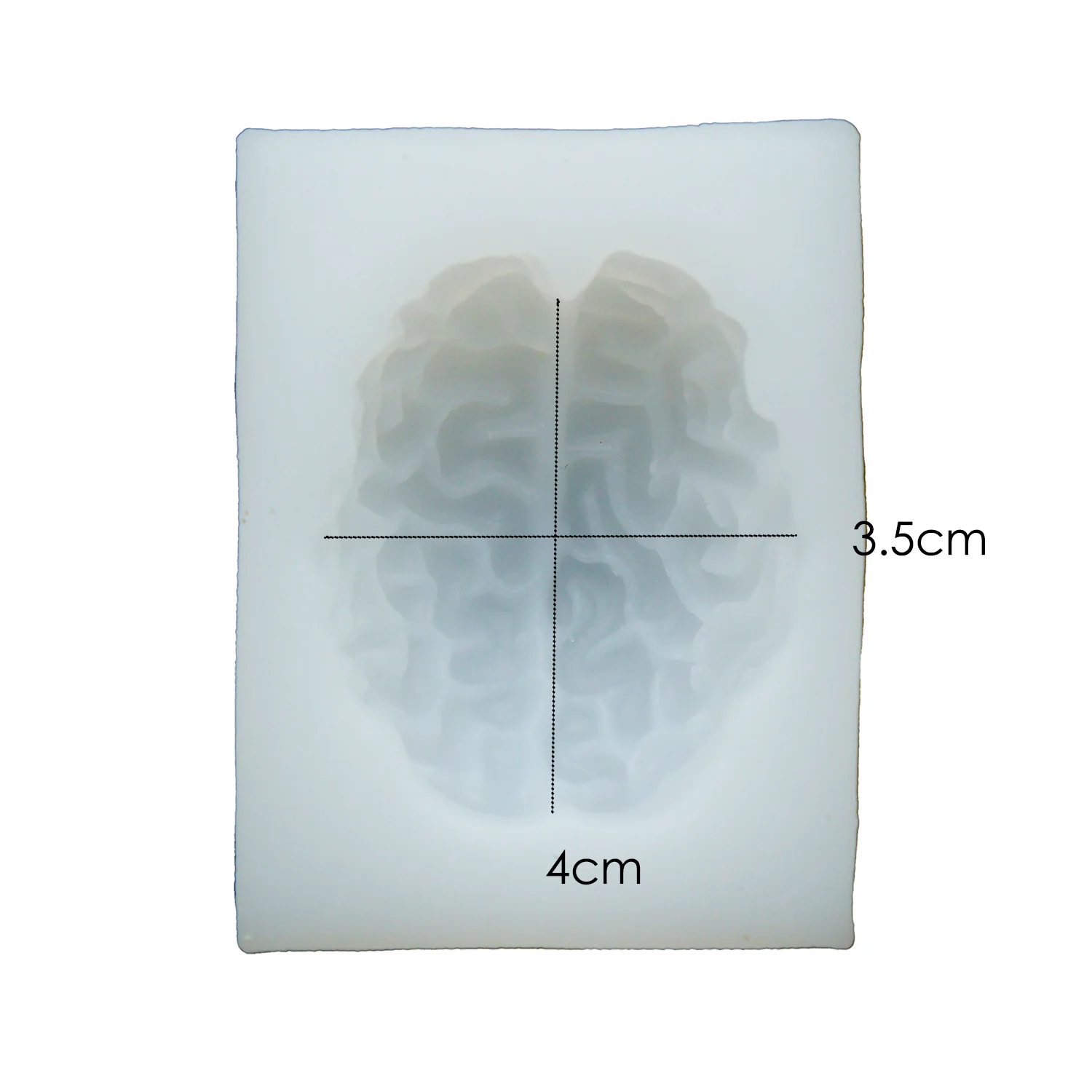 Brain Anatomy Realistic Silicone Mold - Image 4