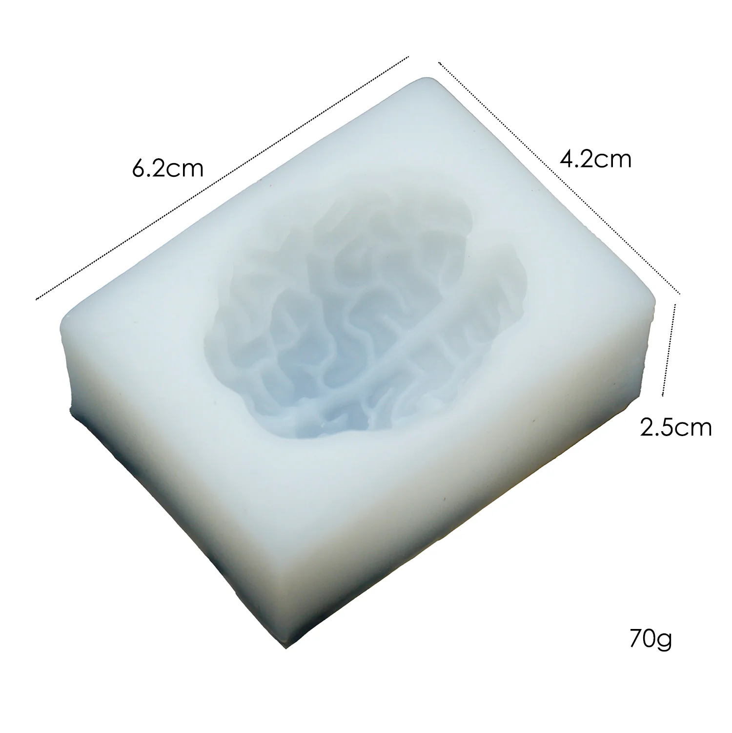 Brain Anatomy Realistic Silicone Mold - Image 5