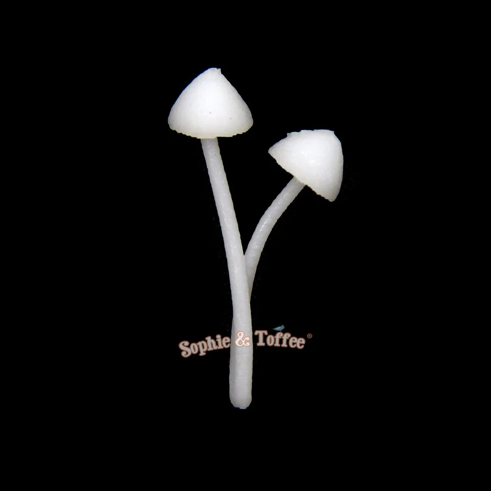 Mushroom Miniature Inclusions - Image 2