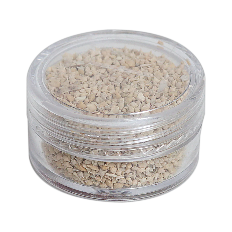 Star Sand from Japan Okinawa Beach 5grams (Clearance)