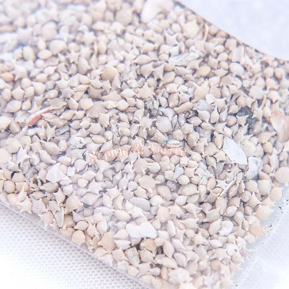 Star Sand from Japan Okinawa Beach 5grams (Clearance) - Image 2
